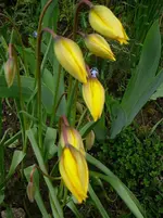 P1110529.webp