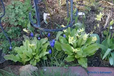 comp_DSC04753.webp