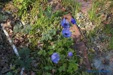 comp_DSC04755.webp