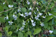 comp_DSC04756.webp