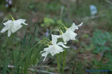 comp_DSC04757.webp