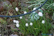 comp_DSC04758.webp