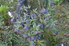 comp_DSC04759.webp