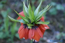 comp_DSC04760.webp