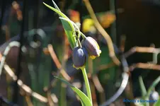 comp_DSC04761.webp