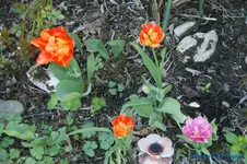 comp_DSC04762.webp