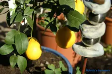 comp_DSC04765.webp