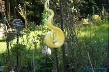 comp_DSC04766.webp