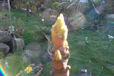 SAM_1032.webp