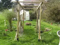 BILD4926.webp