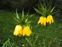 BILD4913.webp