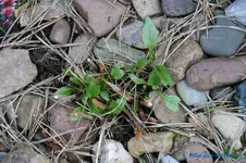 comp_DSC04772.webp