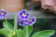 comp_DSC04773.webp