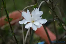 comp_DSC04777.webp