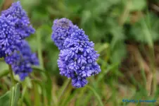 comp_DSC04778.webp