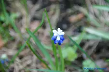 comp_DSC04779.webp