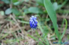 comp_DSC04780.webp