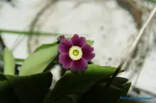 comp_DSC04782.webp