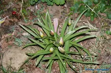 comp_DSC04783.webp