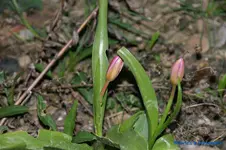 comp_DSC04784.webp