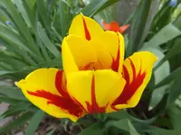 DSCF9256.webp