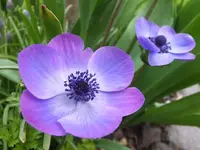 DSCF9261.webp