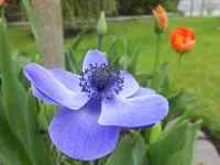 DSCF9262.webp