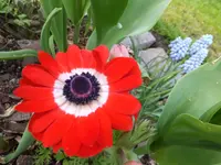 DSCF9266.webp