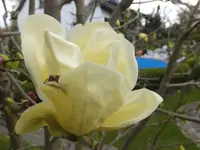 DSCF9265.webp