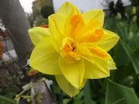 DSCF9269.webp