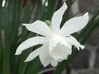 DSCF9376.webp