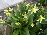 DSCF9270.webp