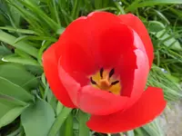 DSCF9272.webp