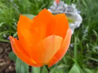 DSCF9274.webp