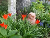 DSCF9275.webp