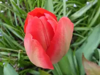 DSCF9276.webp
