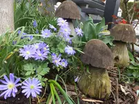 DSCF9286.webp