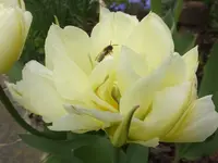 DSCF9292.webp