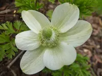 DSCF9306.webp