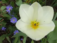 DSCF9313.webp
