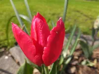 DSCF9316.webp