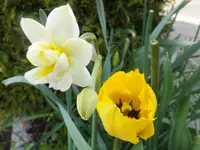 DSCF9320.webp