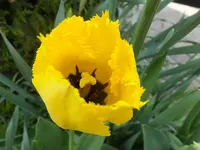 DSCF9317.webp