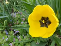DSCF9344.webp