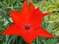 DSCF9283.webp