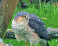DSCF5659 (4).webp
