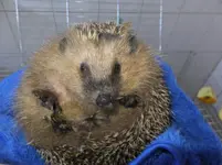 DSCF9011.webp