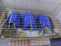 DSCF9027.webp