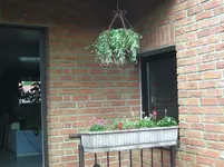 Blumen.webp