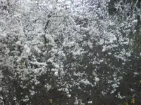 BILD4911.webp